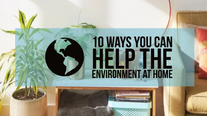 Ways to Help the Environment