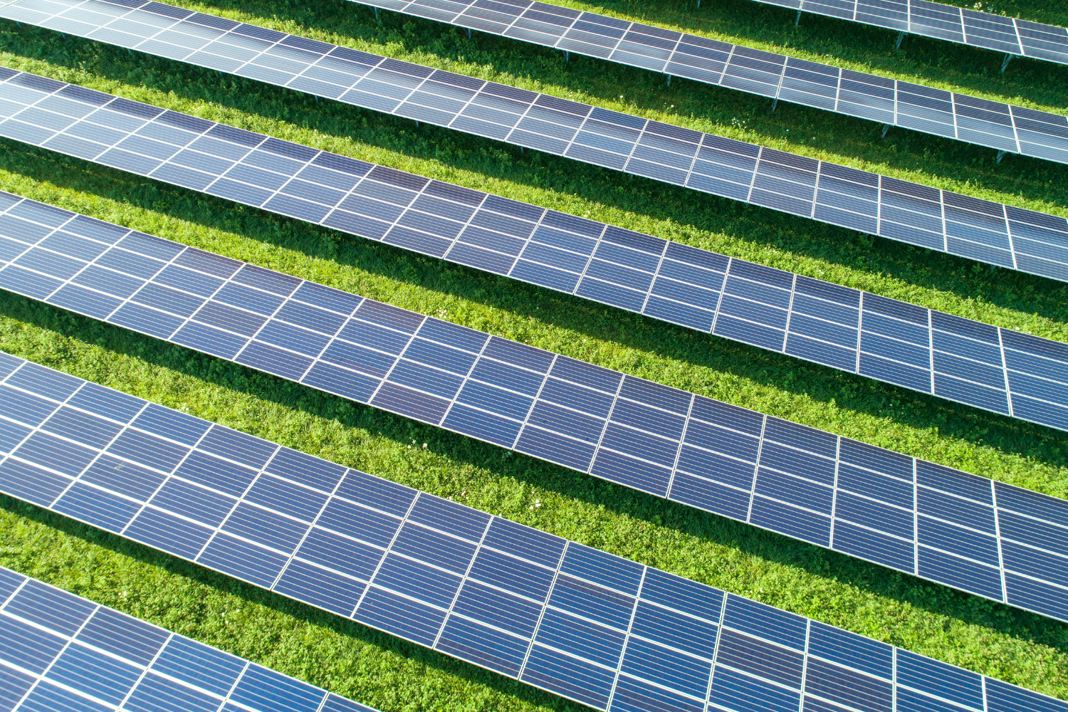 Aerial view of solar panels in a field.